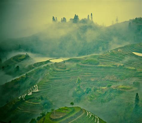 Rice terraces of Longsheng on Behance