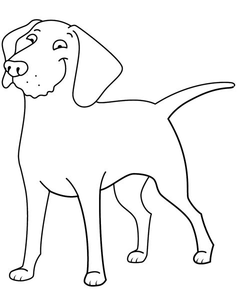 Golden Retriever Coloring Page Golden Retriever Color - vrogue.co