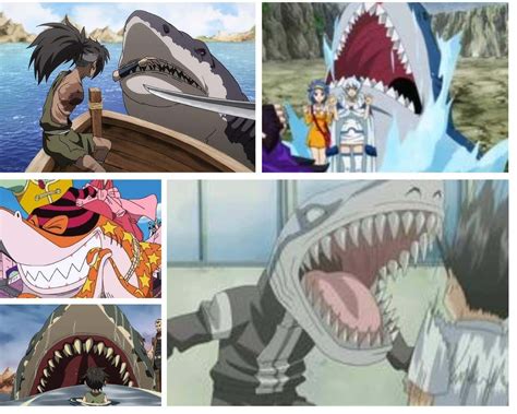 9 Top Rated Anime Shark Characters