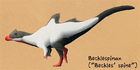 Weird Backs Month #22 – Becklespinax Living during the Early Cretaceous of England (~133 mya ...