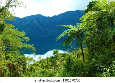 50 Lake holon Images, Stock Photos & Vectors | Shutterstock