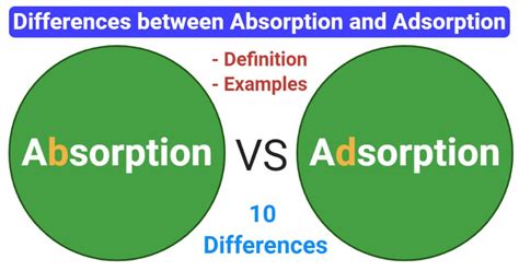 Absorption vs. Adsorption: 10 Differences, Examples