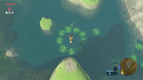 Zelda breath of the wild korok seeds - jujayoga