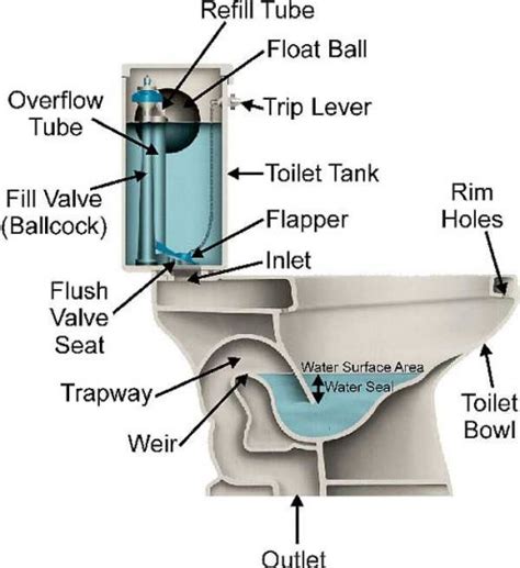 Toilet Bowl Schematic