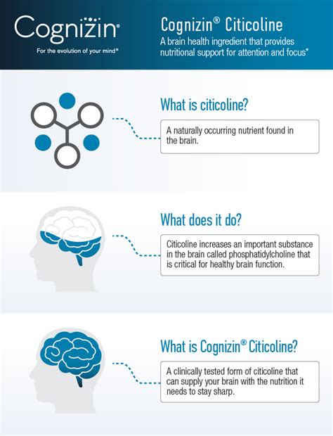 Cognizin® Citicoline Infographic - Cognizin