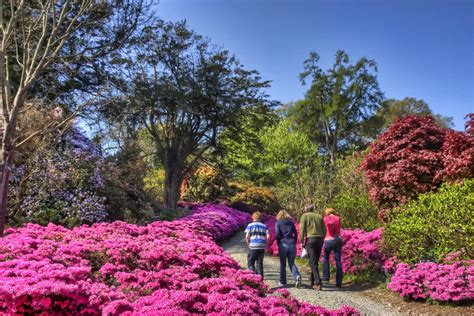 Mount Congreve Gardens to re-open on June 9th | WLR