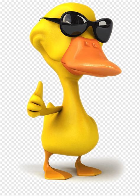 Cartoon Ente s, 3d, Sonnenbrillen der Karikatur 3d, Tier png | PNGWing