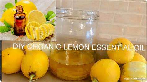 How To Make Organic Lemon Essential Oil - DIY Lemon Essential Oil For Al... Lemon Essential Oil ...