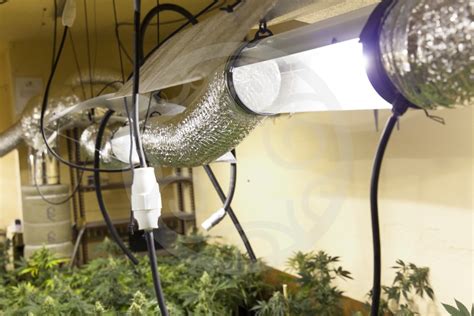 Cannabis grow room ventilation | Blog Philosopher Seeds