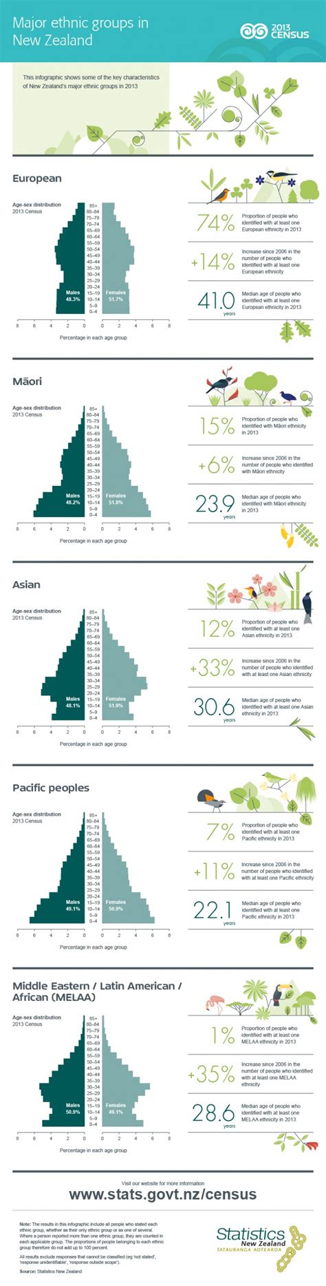 Major ethnic groups in New Zealand | Stats NZ