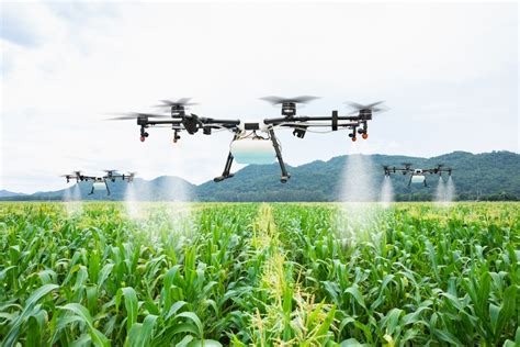 Agricultural Robots: A Revolutionary Tool For Farmers Worldwide ...