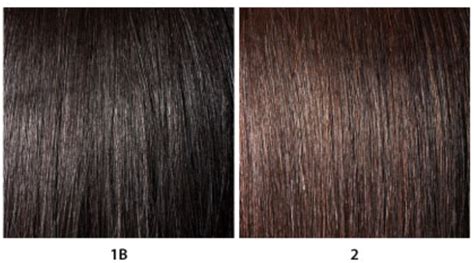 1B Hair Color vs 2 Hair Color