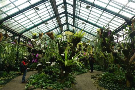 Bogor Botanical Garden: Photo Gallery - Discover Your Indonesia