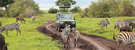 The 10 Best Serengeti National Park Tours & Trips 2018/2019 (with 103 ...