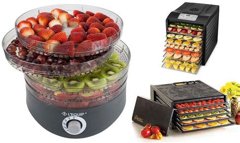 Food Dehydrator Buyer's Guide—Choosing the Best for Yourself - The Best Sous Vide Machine and ...