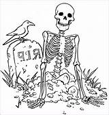 Free Printable Skeleton Coloring Pages sketch template