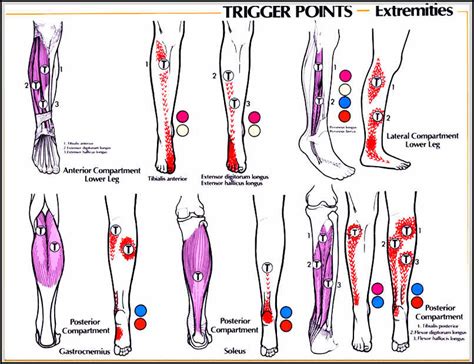 Knee Pain Causes You Should Know and Avoid - Your friendly fashion blog assistant