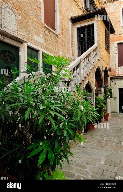 Staircase and bush. Venice, Italy Stock Photo - Alamy