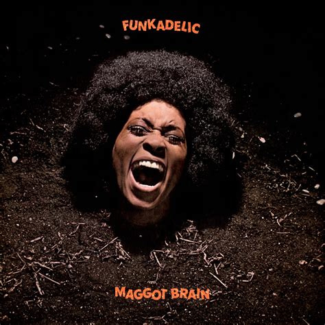 Funkadelic - Maggot Brain | Vinyl Cover Art