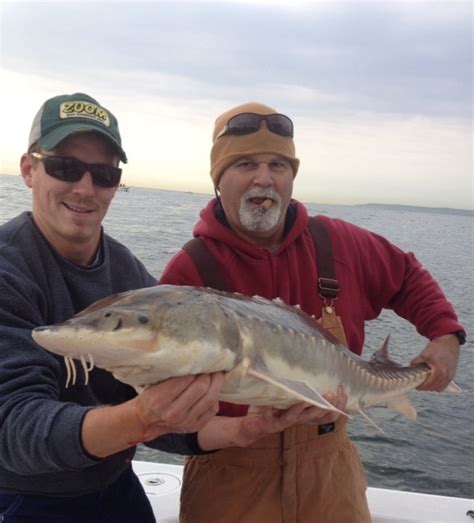 Atlantic Highlands NJ. Striped Bass Charters | Bill Chaser Sandy Hook Fishing Charters