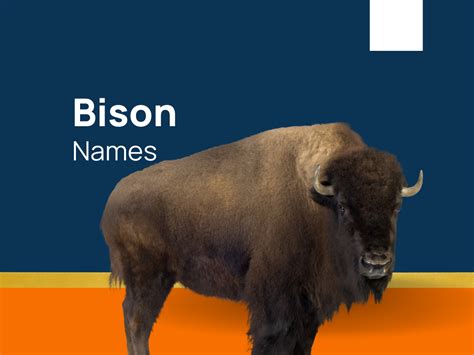 440+ Bison Names That Resonate with Power and Majesty! (+Generator)