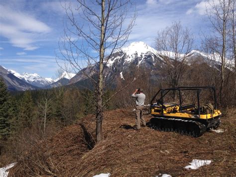 Grizzly Bear Hunting, British Columbia | Covert Outfitting