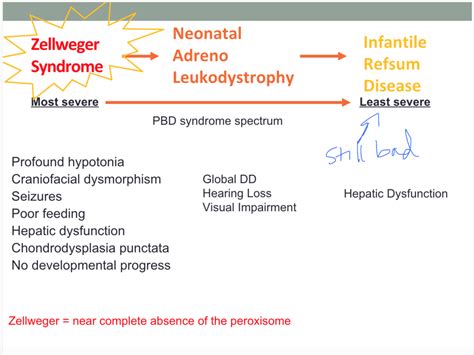 Peroxisomal Disorders Diagram | Quizlet