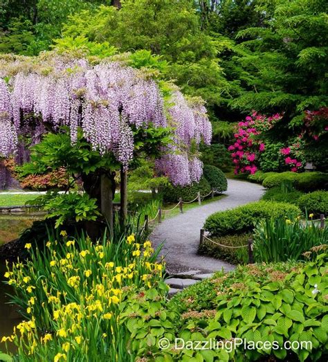 A Late Spring Visit to the Japanese Garden in Seattle's Washington Park ... | Seattle japanese ...