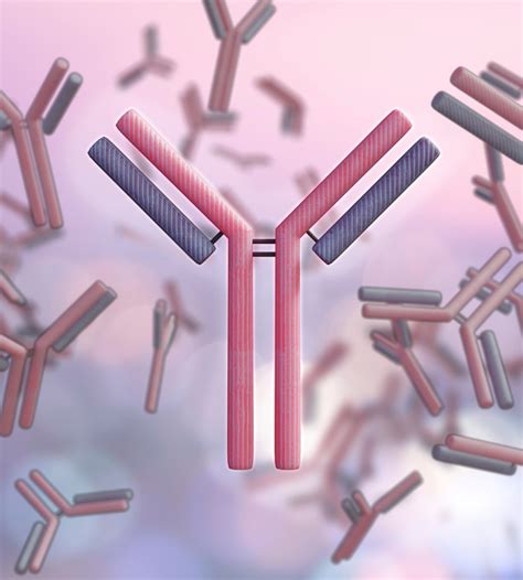 Molecular Mimicry: A Case of Mistaken Identity