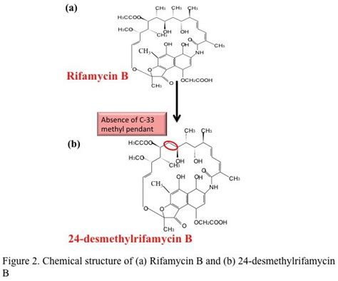 Overcoming bottlenecks – a new antibiotic analog to treat Tuberculosis - IndiaBioscience