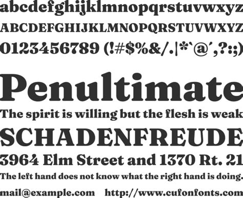 Fraunces Font Family : Download Free for Desktop & Webfont