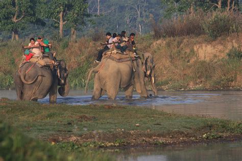 Chitwan Jungle Safari