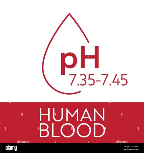 Human blood ph range. Medical illustration chart and scale. Acidic, Normal, Akaline diagram ...