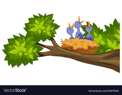 Bird nest on tree branch Royalty Free Vector Image