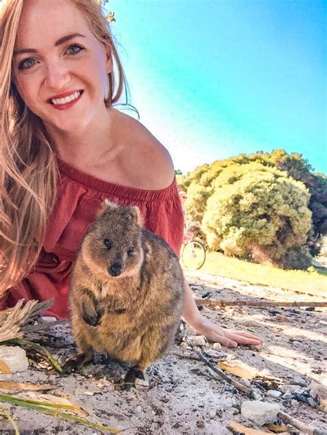 Rottnest Island Day Trip: See the Quokkas at Rottnest Island, Australia ...