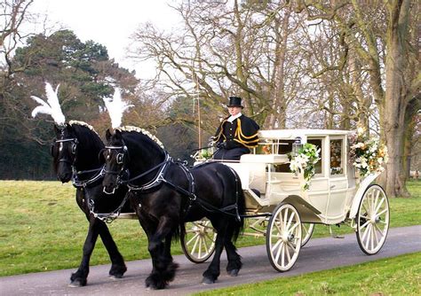 Horseback | Wedding carriage, Horse and carriage wedding, Horse wedding