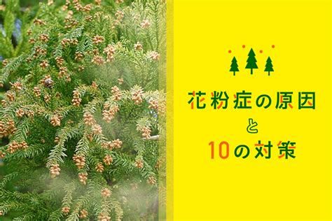 花粉症の原因と10の対策 | 株式会社LIG(リグ)｜DX支援・システム開発・Web制作