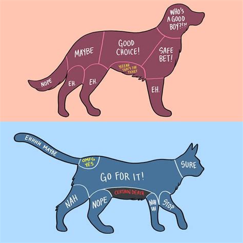 Dogs vs Cats, 18 Funny Comics | Cat vs dog, Dog owner memes, Funny animals