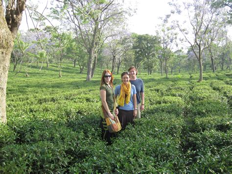 Volunteer in Palampur-India| Volunteering India