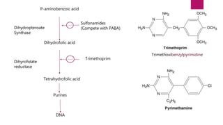 Sulfa drug- Mechanism of action-Resistance mechanism | PPT