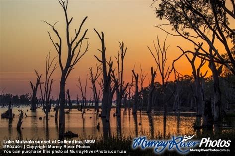 Lake Mulwala sunset at Collendina, NSW