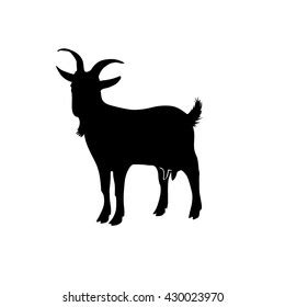 Goat Silhouette On White Background: เวกเตอร์สต็อก (ปลอดค่าลิขสิทธิ์) 430023970 | Shutterstock