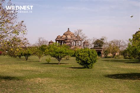 Ranthambore National Park - TheAllMag