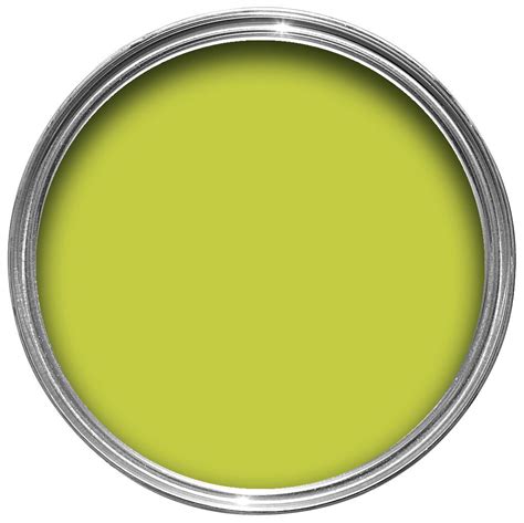 Dulux Luscious Lime Matt Emulsion Paint 1.25L | Departments | DIY at B&Q