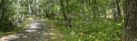 AllTrails | Itasca State Park Bike Trail: 155 Reviews, Map - Minnesota