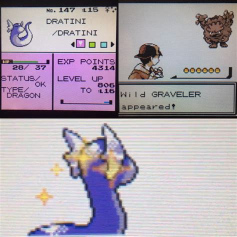 [gen2] Two full odds one night! Over 40k SRs for shiny Extreme Speed ...