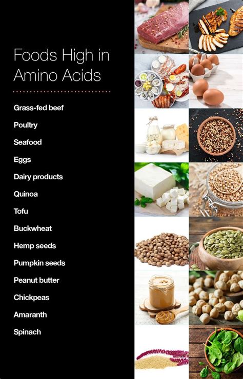 Foods High in Amino Acids: Eating for Optimal Health