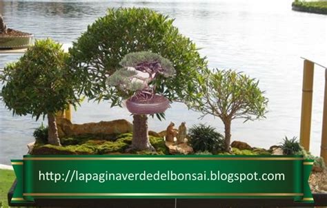 Penjing: The Ancient Art of Bonsai