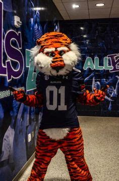 Aubie