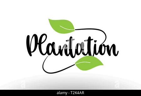 White background plantation vector logo or icon, plantation logo Stock ...